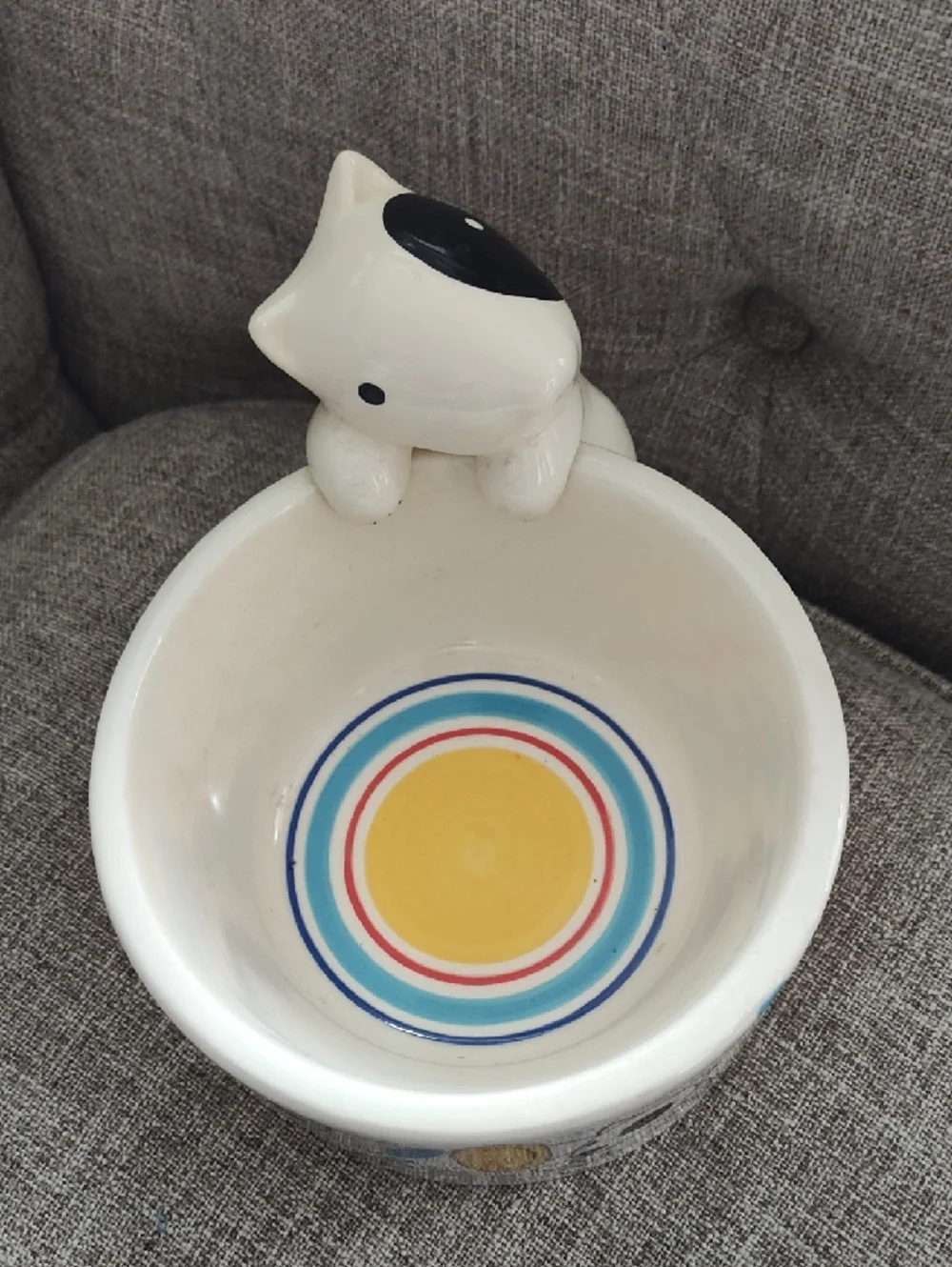 Colorful Ceramic Dog Bowl with Dog Graphics And Colorful Circles Interior